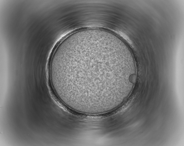 X0000086890840200704300955