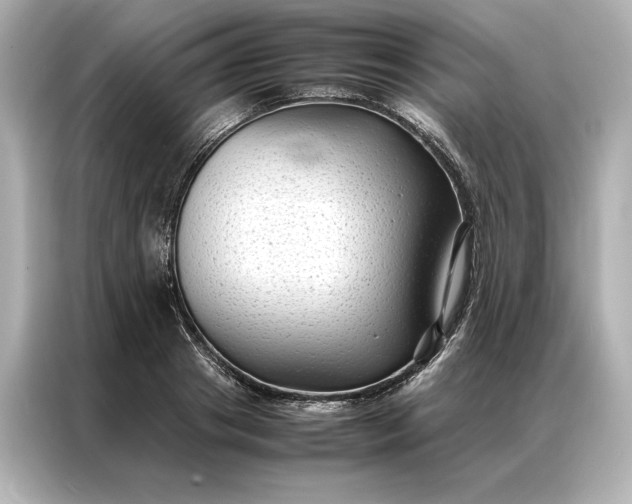 X0000086890841200704300955