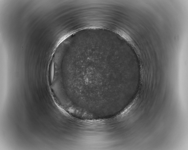 X0000086890842200704300955