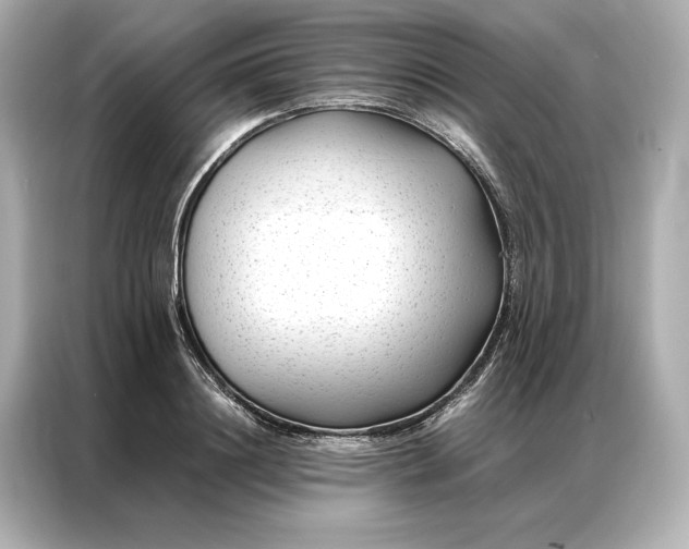 X0000086890844200704300955