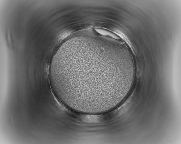 X0000086890849200704300955