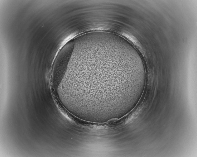 X0000086890850200704300955