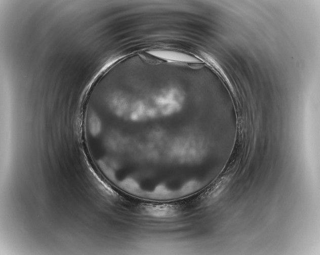 X0000086890851200704300955