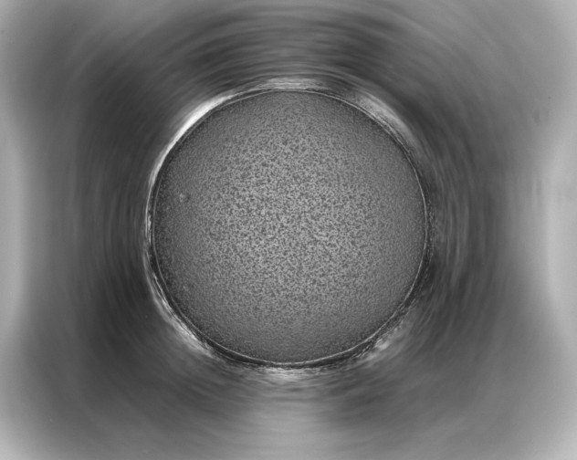 X0000086890852200704300955