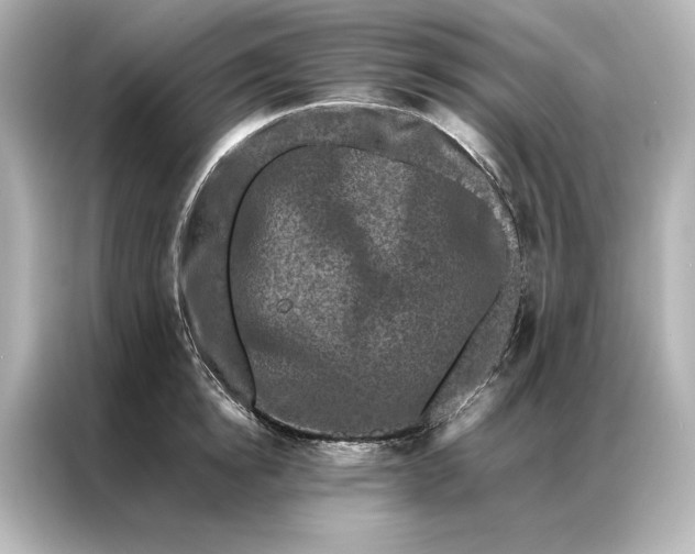 X0000086890854200704300955