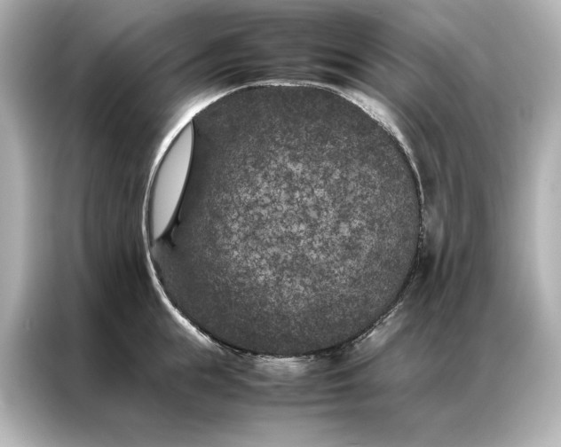 X0000086890855200704300955