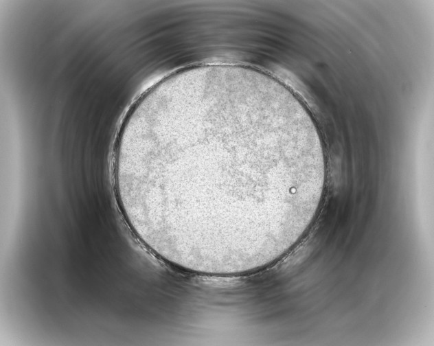 X0000086890856200704300955