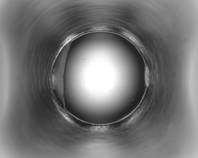 X0000086890858200704300955