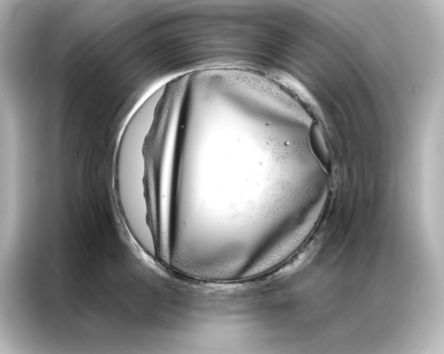 X0000086890860200704300955