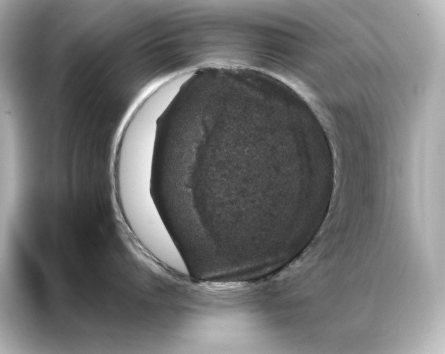 X0000086890864200704300955