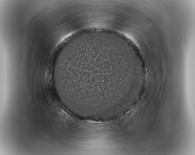 X0000086890872200704300955