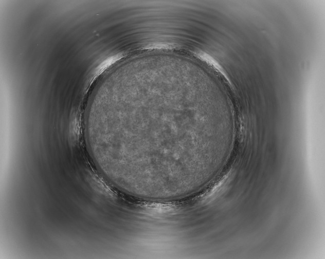 X0000086890874200704300955