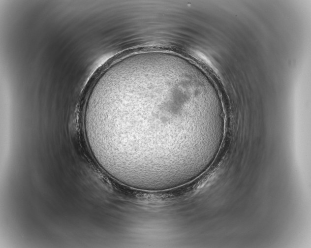 X0000086890875200704300955