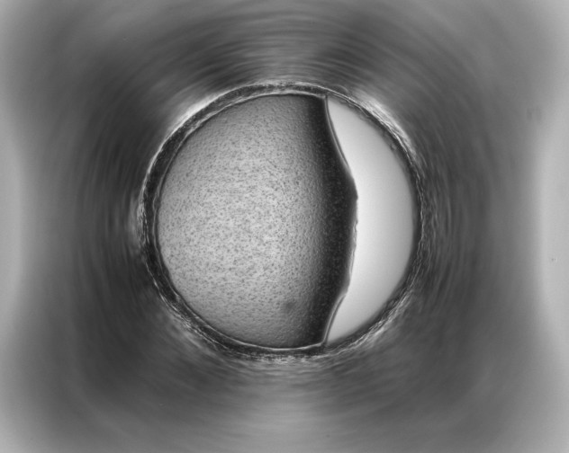 X0000086890876200704300955