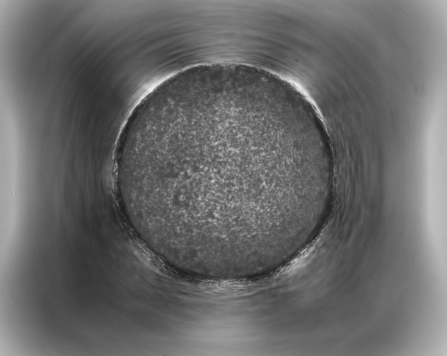 X0000086890879200704300955