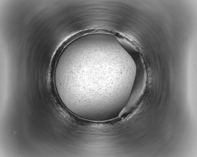 X0000086890880200704300955