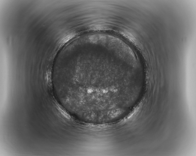 X0000086890881200704300955