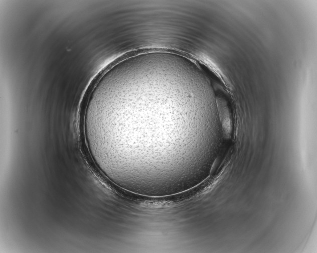 X0000086890884200704300954