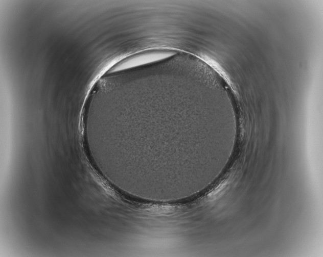 X0000086890885200704300954