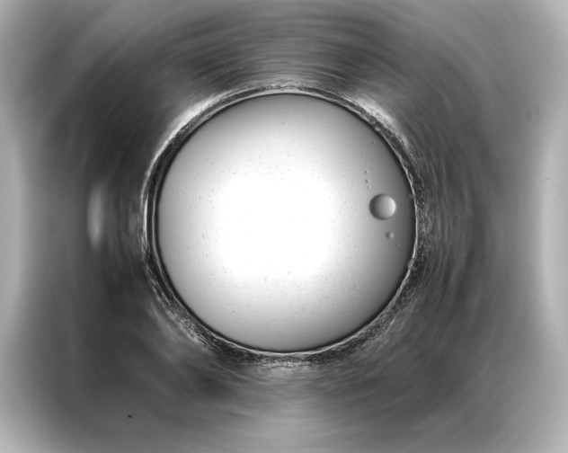 X0000086890886200704300954