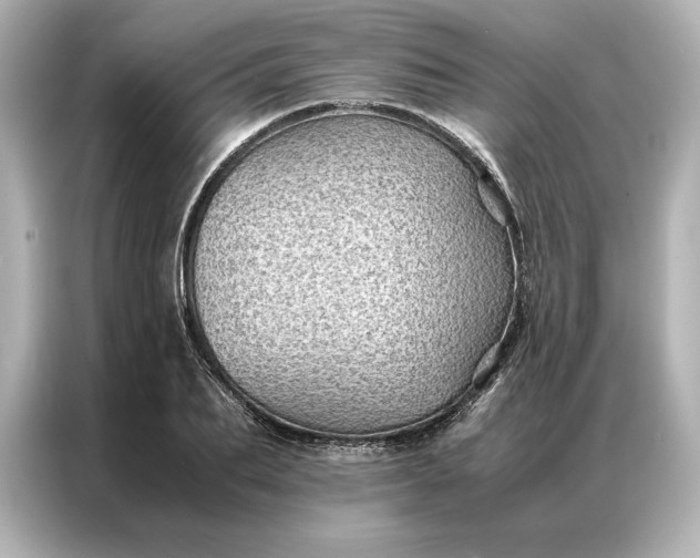 X0000086890887200704300954