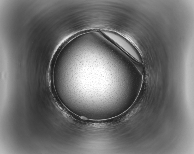 X0000086890888200704300954