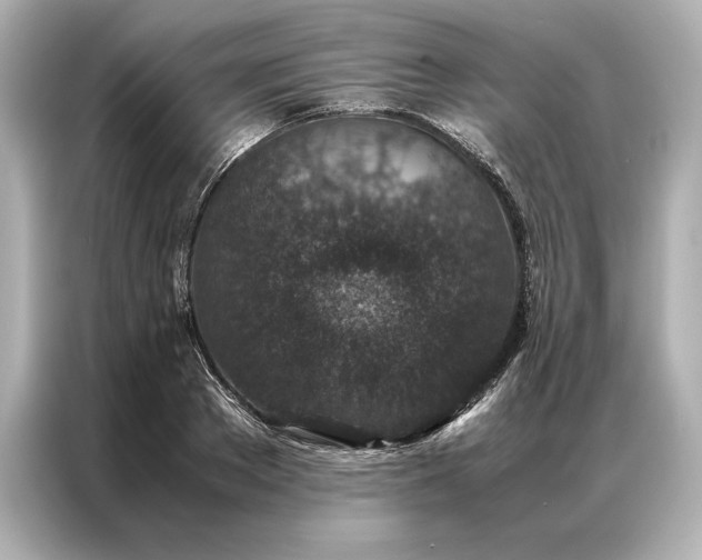 X0000086890889200704300954