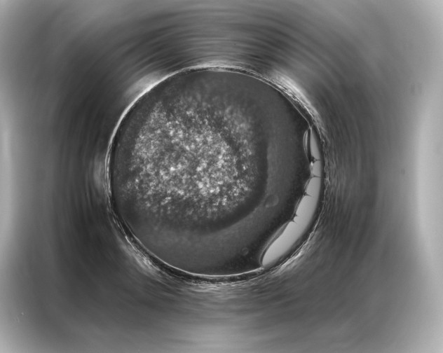 X0000086890892200704300954