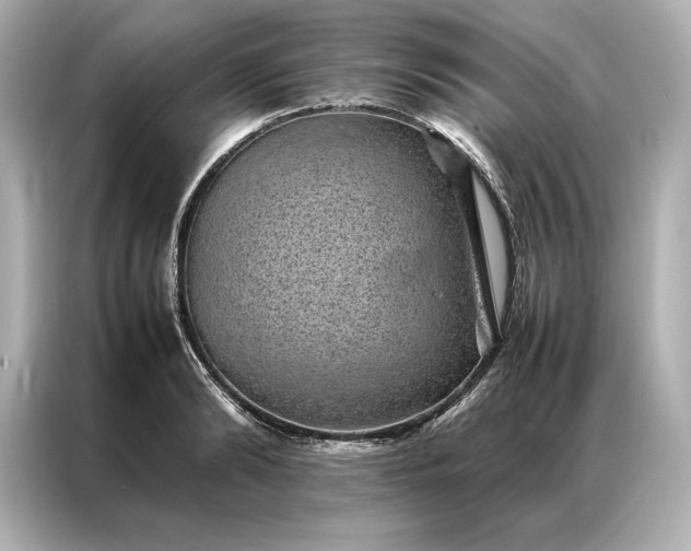 X0000086890894200704300954