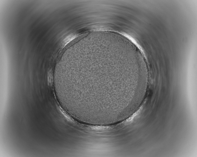 X0000086890897200704300954