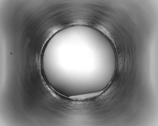 X0000086890898200704300954