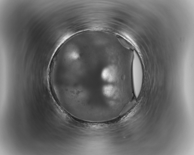 X0000086890899200704300954