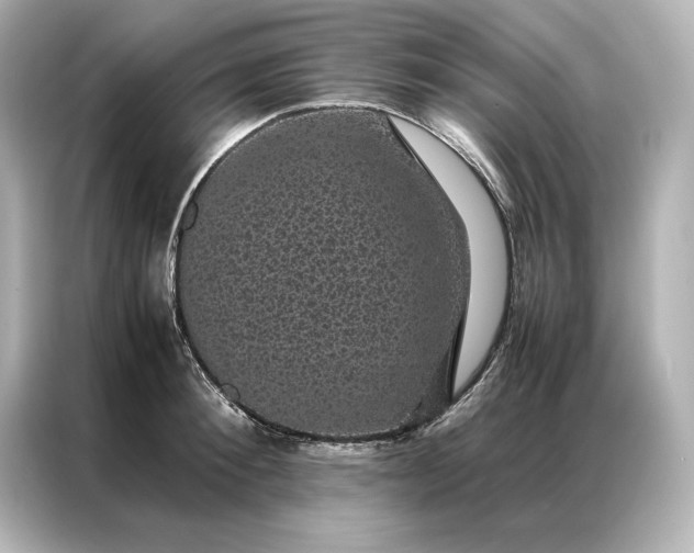 X0000086890900200704300954