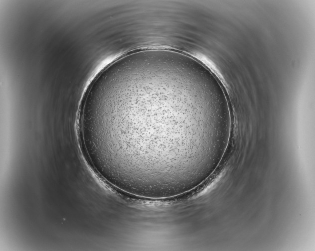 X0000086890901200704300954