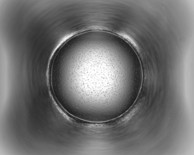 X0000086890902200704300954