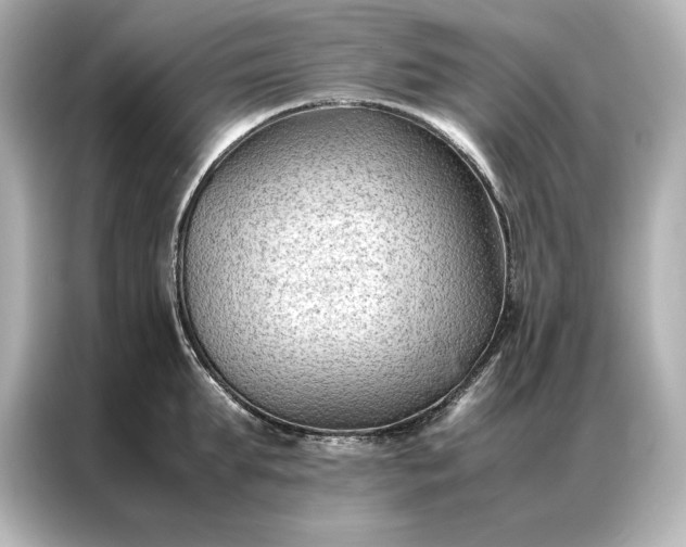 X0000086890903200704300954