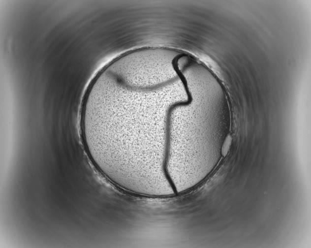 X0000086890904200704300954