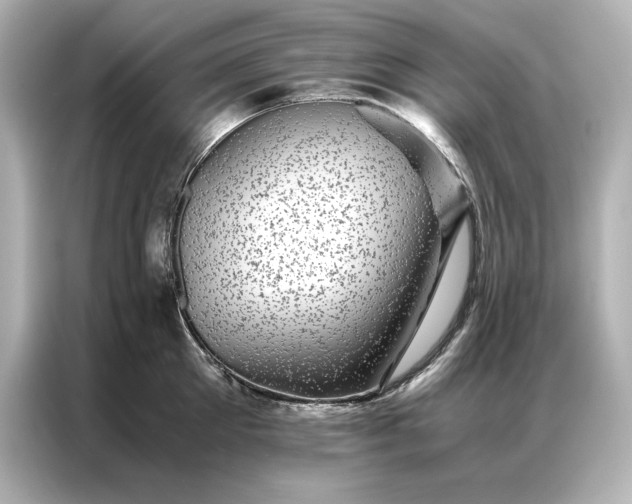 X0000086890905200704300954