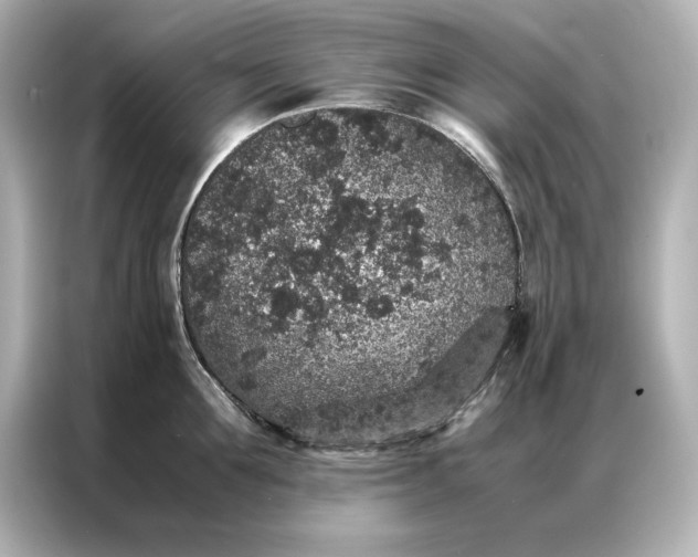 X0000086890907200704300954