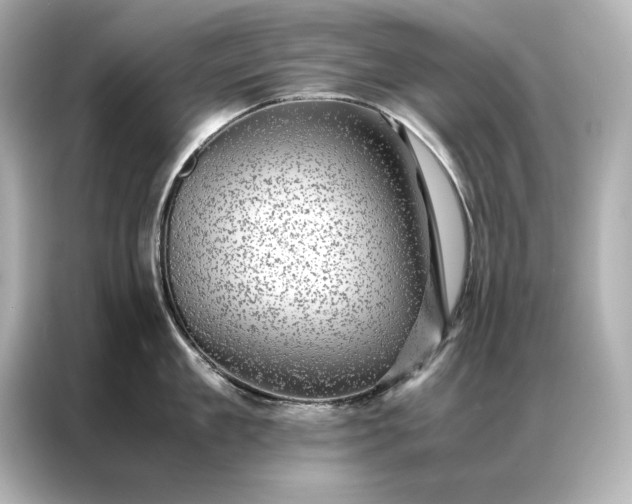 X0000086890909200704300954