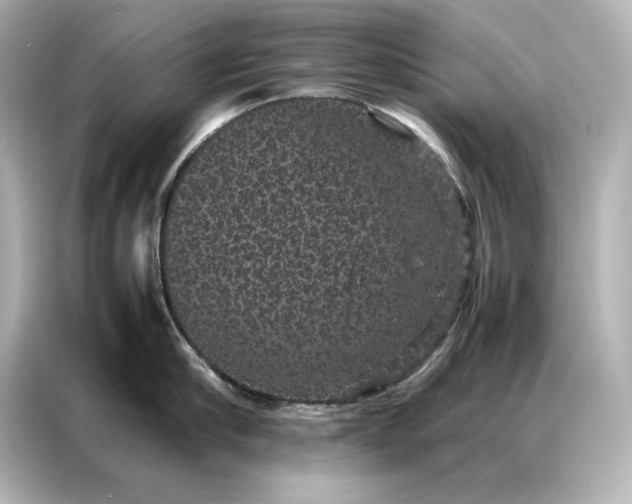 X0000086890910200704300954