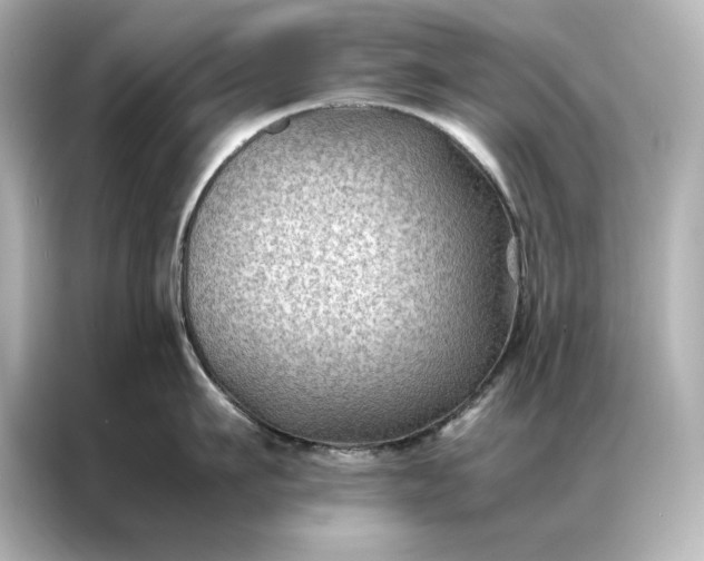 X0000086890911200704300954