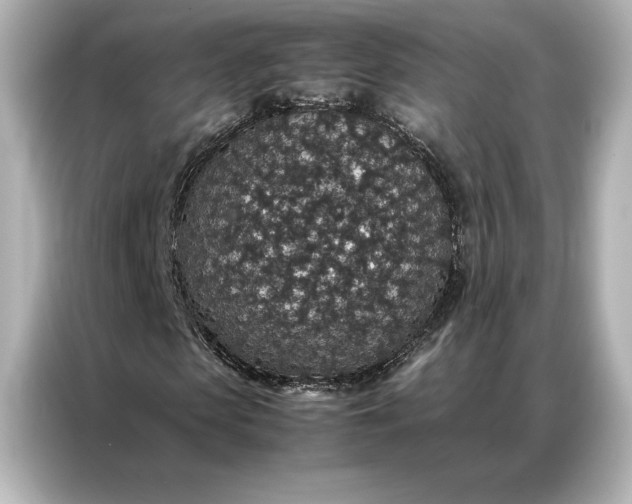 X0000086890913200704300953