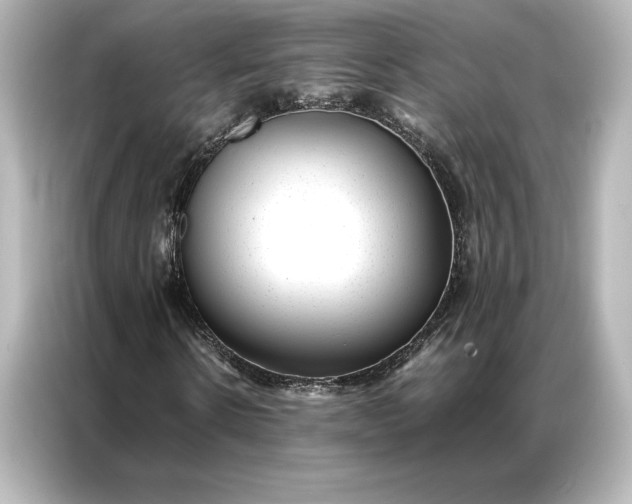 X0000086890914200704300954