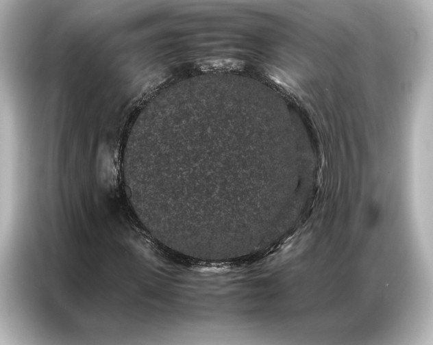 X0000086890915200704300954