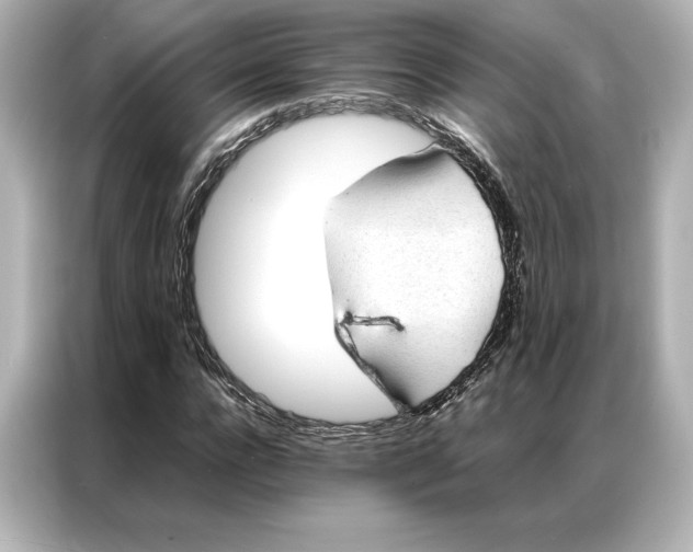 X0000086890920200704300954