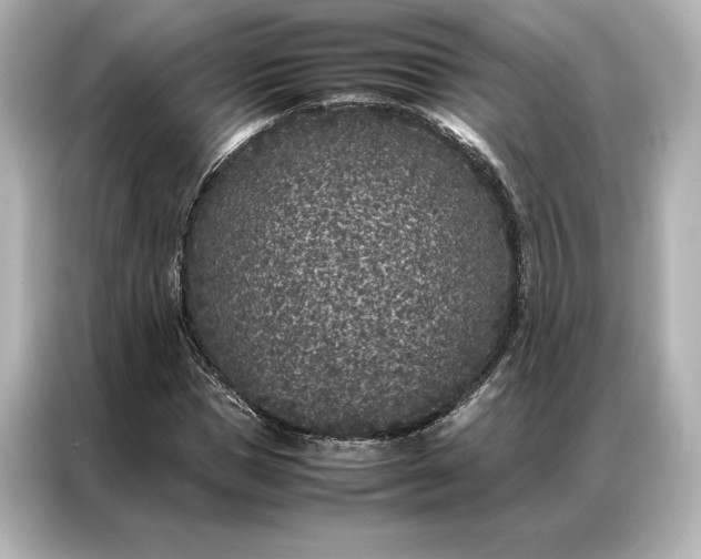 X0000086890921200704300954