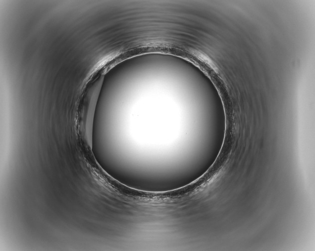 X0000086890922200704300954