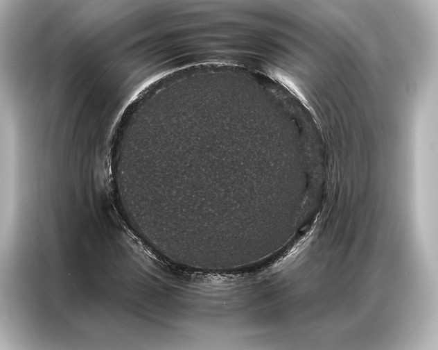 X0000086890923200704300954