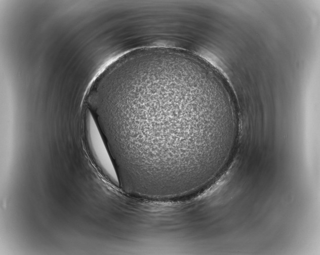 X0000086890925200704300954